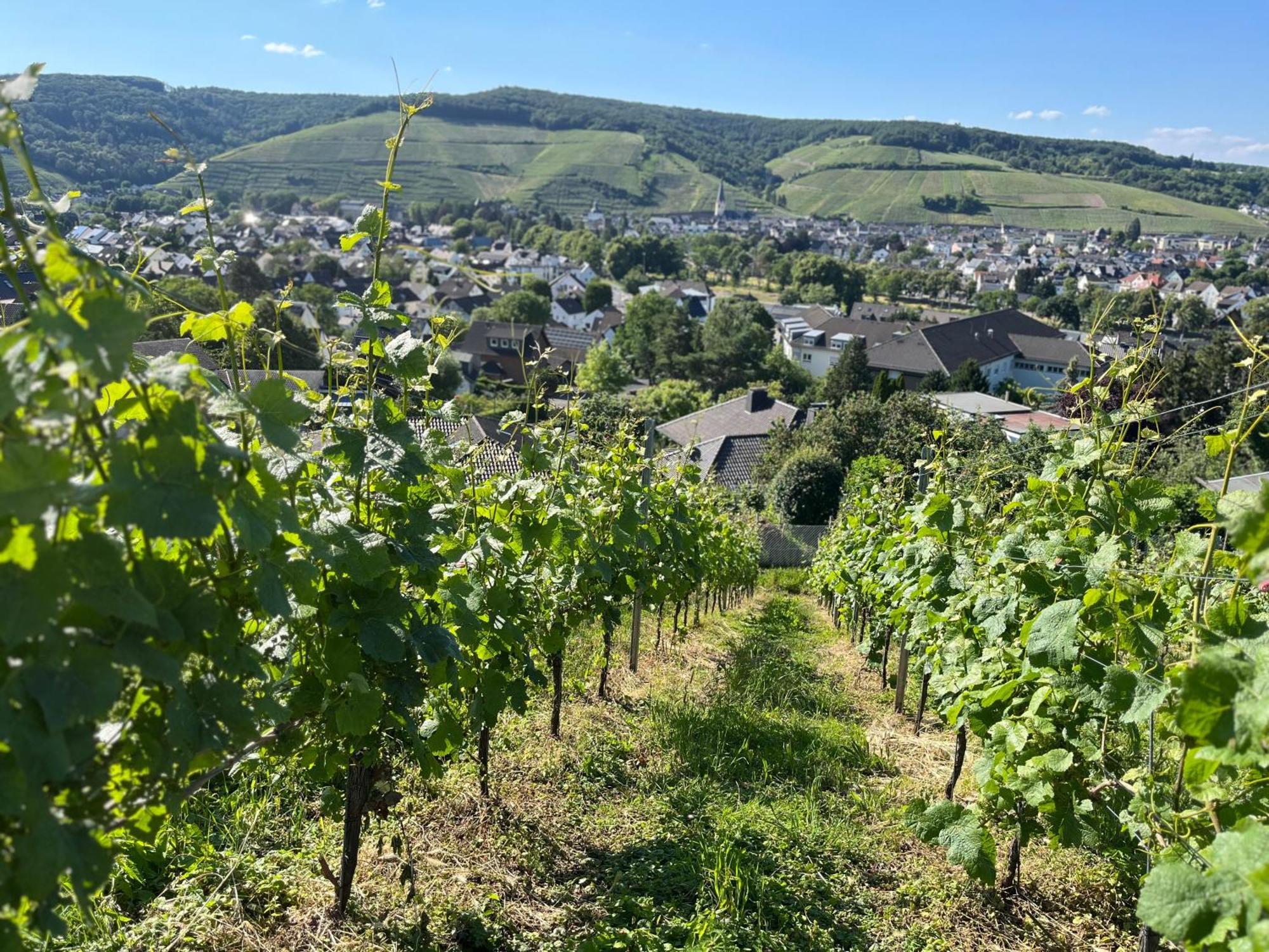 Ferienhaus Mausberg Villa Bad Neuenahr-Ahrweiler Buitenkant foto